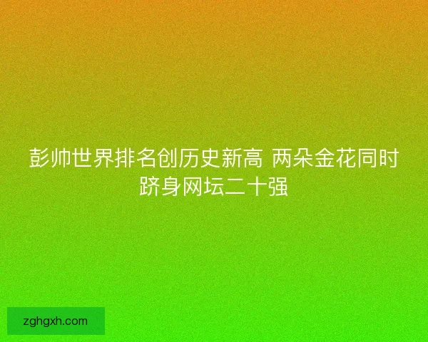 彭帅世界排名创历史新高 两朵金花同时跻身网坛二十强